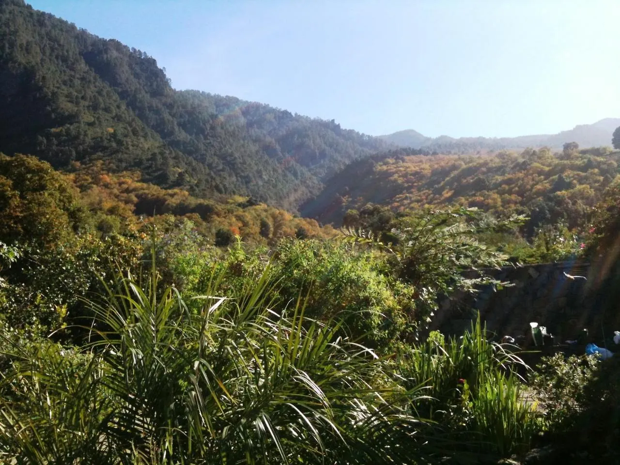 Finca La Hondura La Orotava Villa